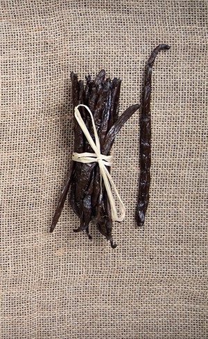 Kilka lasek wanilii z gatunku wanilii planifolia zwana również wanilią bourbon
