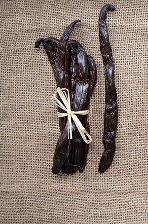 Kilka lasek wanilii z gatunku wanilii pompona zwana również wanilią meksykańską