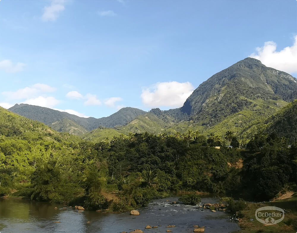 Widok na góry i plantację wanilii na Madagaskarze – Wszystkiego Słodkiego.