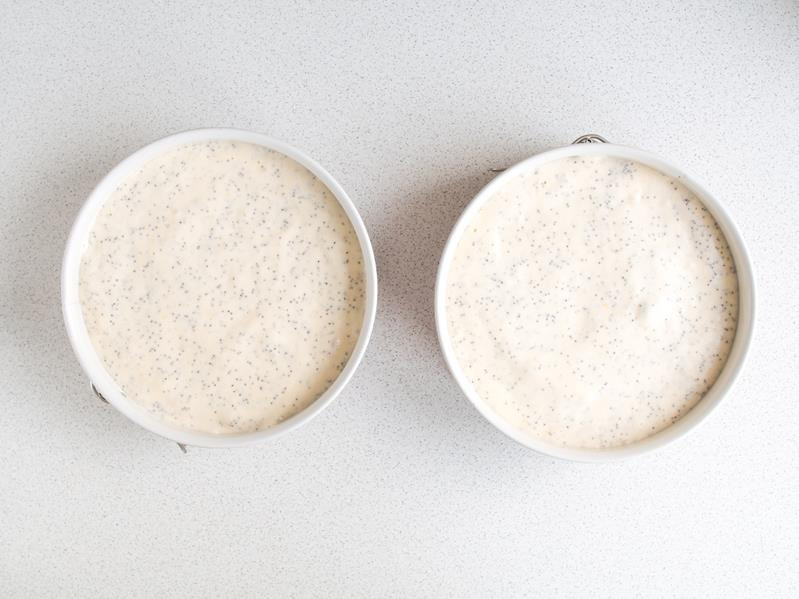 ciasto na biszkopt makowy przelane do dwóch tortownic o średnicy 20 cm