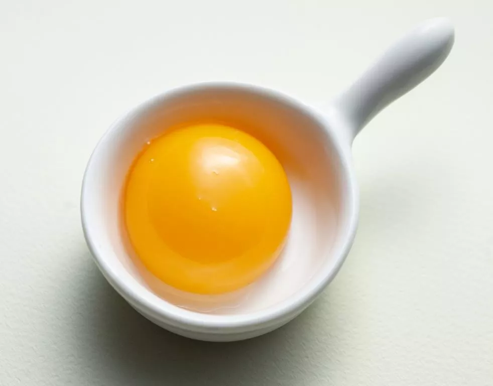 Żółtko jaja kurzego w miseczce