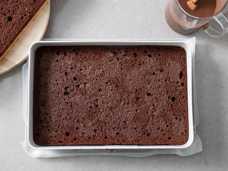 W formie prostokątnej wilton warstwa biszkoptu kakaowego