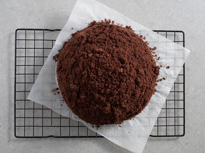 przygotowany domowy kopiec kreta