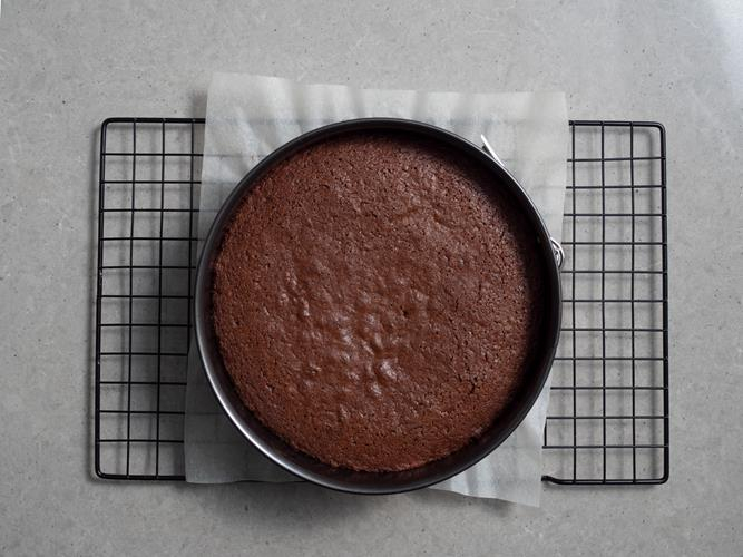 na kratce wilton biszkopt kakaowy do oetker