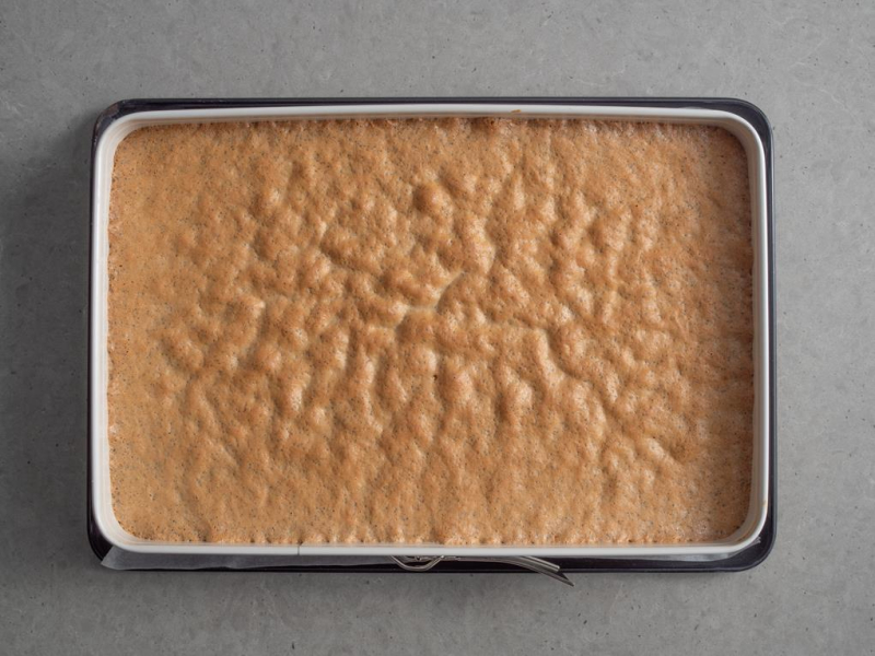 upieczony w formie biszkopt z makiem