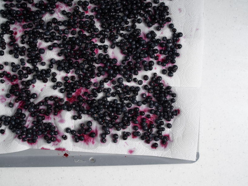 jagody wyłożone na papierowy ręcznik