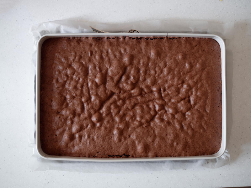 w formie upieczony kakaowy biszkopt