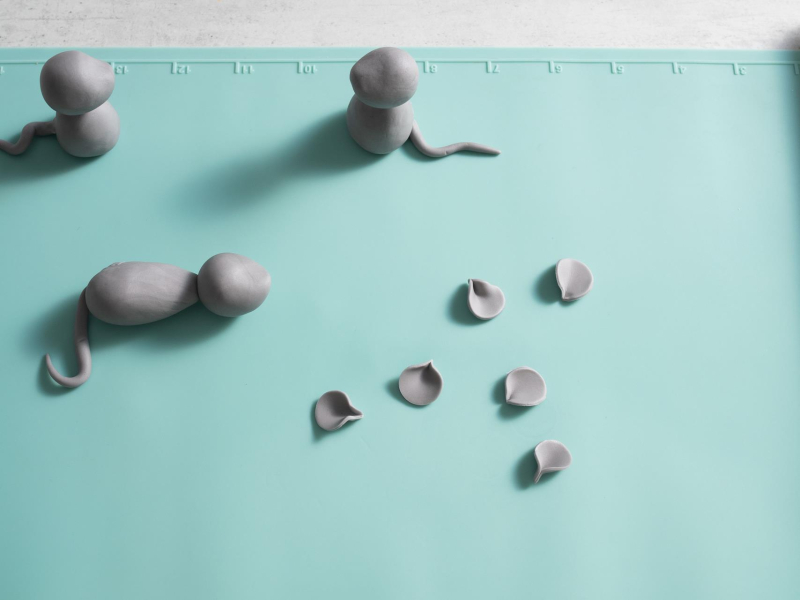 Tworzenie myszek cukrowych.